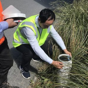 Smarterwater Raingardens