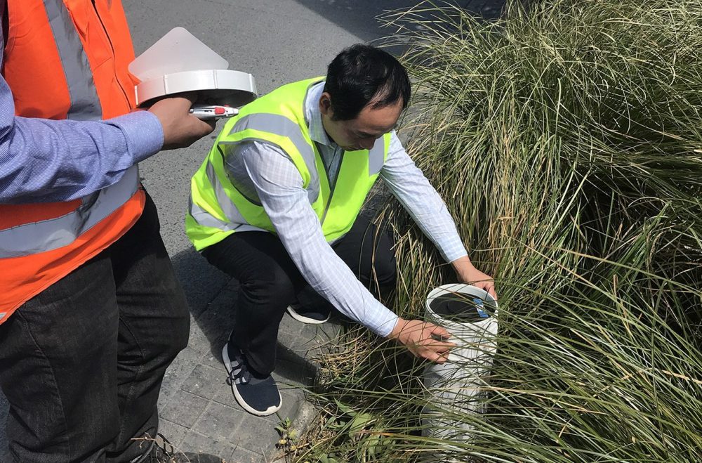 Smarterwater Raingardens