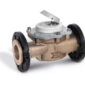 SIT2.1 Itron Flostar M