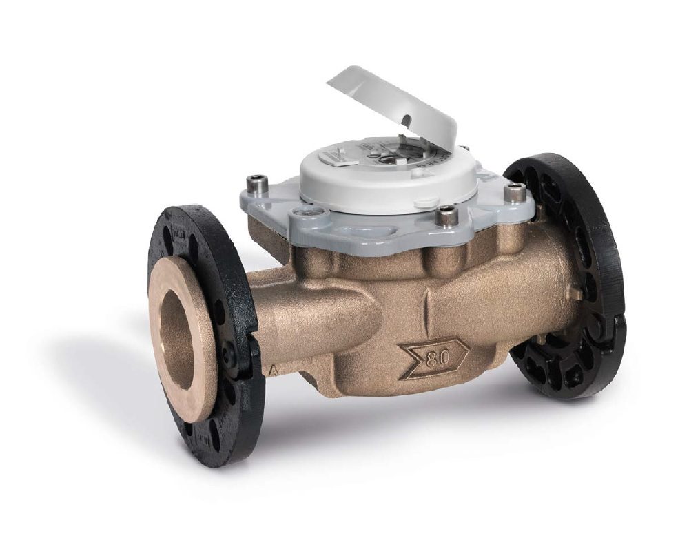 SIT2.1 Itron Flostar M